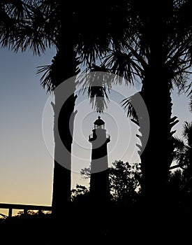 St Simons Island Lighthouse Between the Palm Trees
