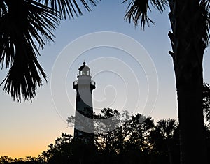 Fronds Framing the St Simons Island Lighthouse