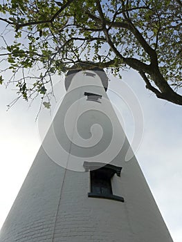 St Simons Georgia Lighthouse in Trees photo