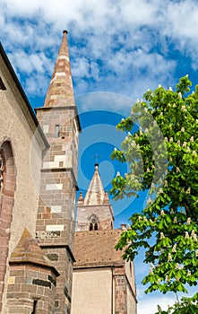 St. Stephan's Cathedral of Breisach - Baden-Wurttemberg, German