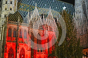 St. Stephen\'s Cathedral and Christmas tree at night