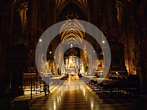 The St. Stephen`s Cathedral or Die Domkirche St. Stephan, Wien Medieval Roman Catholic place of worship with an ornate spire