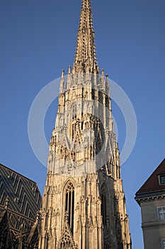 St Stephen`s Cathedral - Stephansdom in Vienna