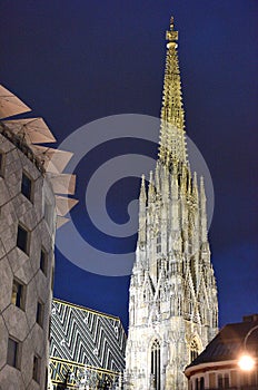 St. Stephen`s Cathedral in Vienna at night, Austria, Europe