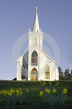 Iglesia  flor 