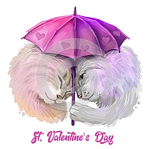 St. Valentine`s day holiday greeting card with two cats in love under purple umbrella isolated. Digital art illustration of