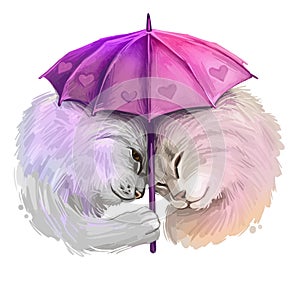 St. Valentine's day holiday greeting card with two cats in love under purple umbrella isolated. Digital art illustration