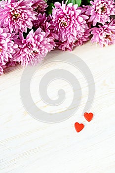 St. Valentine`s Day. Red hearts and chrysanthemum