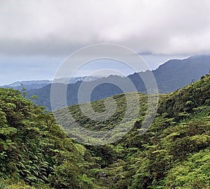 St.Vincent and the Grenadines La Soufriere Volcano Trail photo