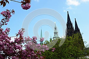 St. Vit cathedral in area of Prague castle photo