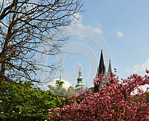 St. Vit cathedral in area of Prague castle photo