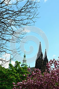 St. Vit cathedral in area of Prague castle photo