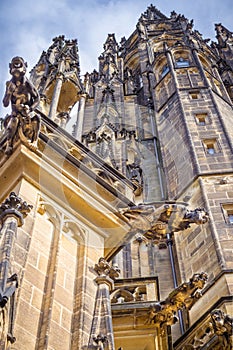 St. Vitus Cathedral Gargoyles photo