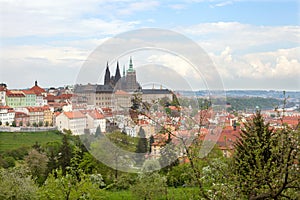 St. Vitus Cathedral in Hradcany, Prague