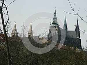 St. Vitus cathedral from royal garden, Prague, Czech republic