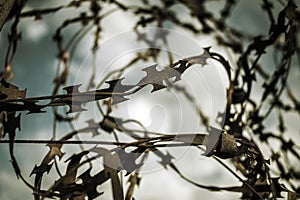 Stabbing sharp wire on the fence. black and white background