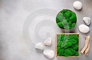 Stabilized green moss panel and decorative white stones on gray background.