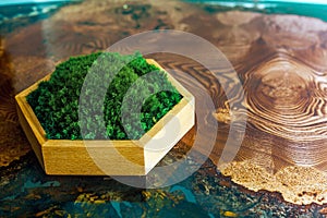 Stabilized moss in a hexagonal wooden box stands on an epoxy resin table. Eco-friendly interior detail