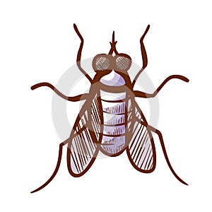 Stable, barn, biting house, dog or power mower fly hand drawn icon. Insect sucking mammals blood pictogram.