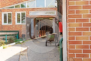 Stable equestrian farm stall horse animal equine wood summer, concept wooden nature in door and view horseback, bridle