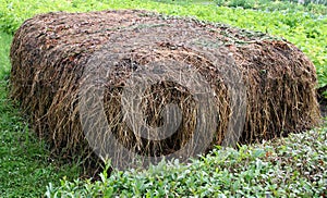 Stable manure composting