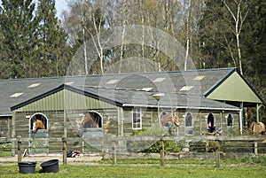 Stable School for horse-riding photo