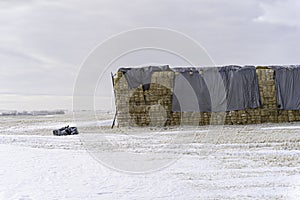 Stack of bales of hay on farm field in winter
