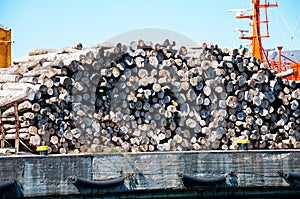 Stack of balks of wood