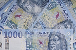 Stack of banknotes as background Hungarian Forint 1000 forint banknote King MÃ¡tyÃ¡s. close up as a background.