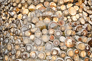 Stack of beech chopped firewoods