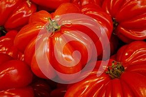 Stack of Beefsteak tomato on a market stall
