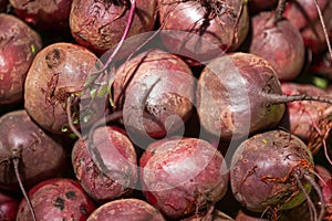Stack of beetroots on a market stall