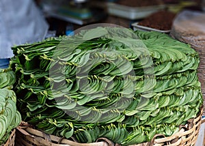 Stack of Betel leaves (Piper Betle) in old town Bangalore.