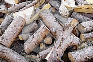 Stack of big dry firewood log