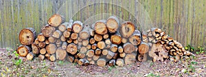 Stack of birch firewood near the fence