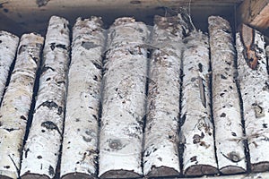 Stack of birch logs wooden background