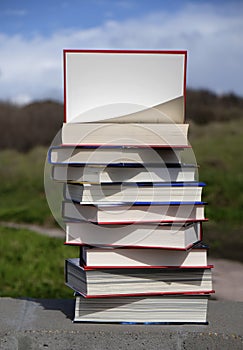 Stack of books