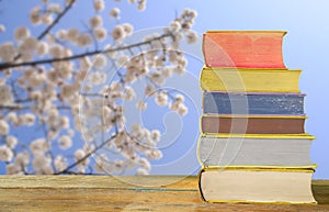 Stack of books with blurred blooming cherry tree  in the background,  springtime, reading and relaxing concept