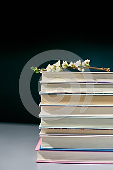 Stack of books with branch flowers, World book day