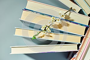 Stack of books with branch flowers, World book day