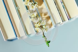 Stack of books with branch flowers, World book day