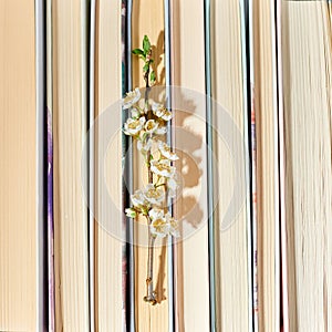 Stack of books with branch flowers, World book day