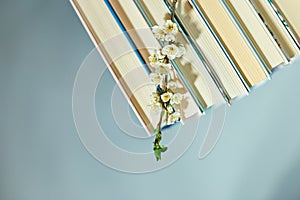 Stack of books with branch flowers, World book day