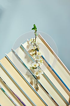 Stack of books with branch flowers, World book day