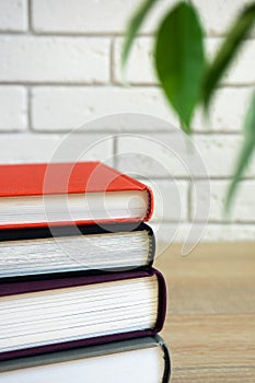 Stack of books with colored covers near green ficus on a blurred background of white brick wall