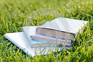 Stack of Books on the Grass