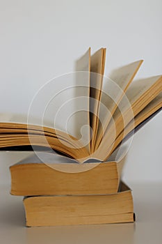 Stack of books on white background. World Book Day.