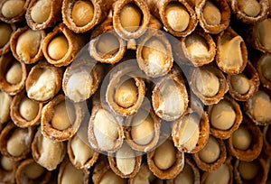 A stack of canoli