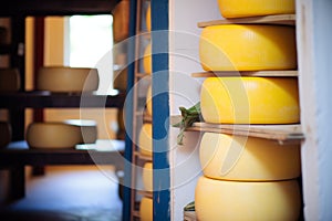 a stack of cheese wheels in a cellar