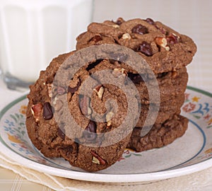 Stack of Chocolate Chip Cookies